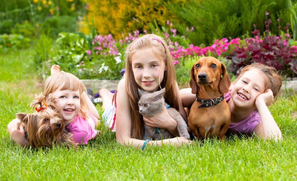 Children and the pets lying on the grass