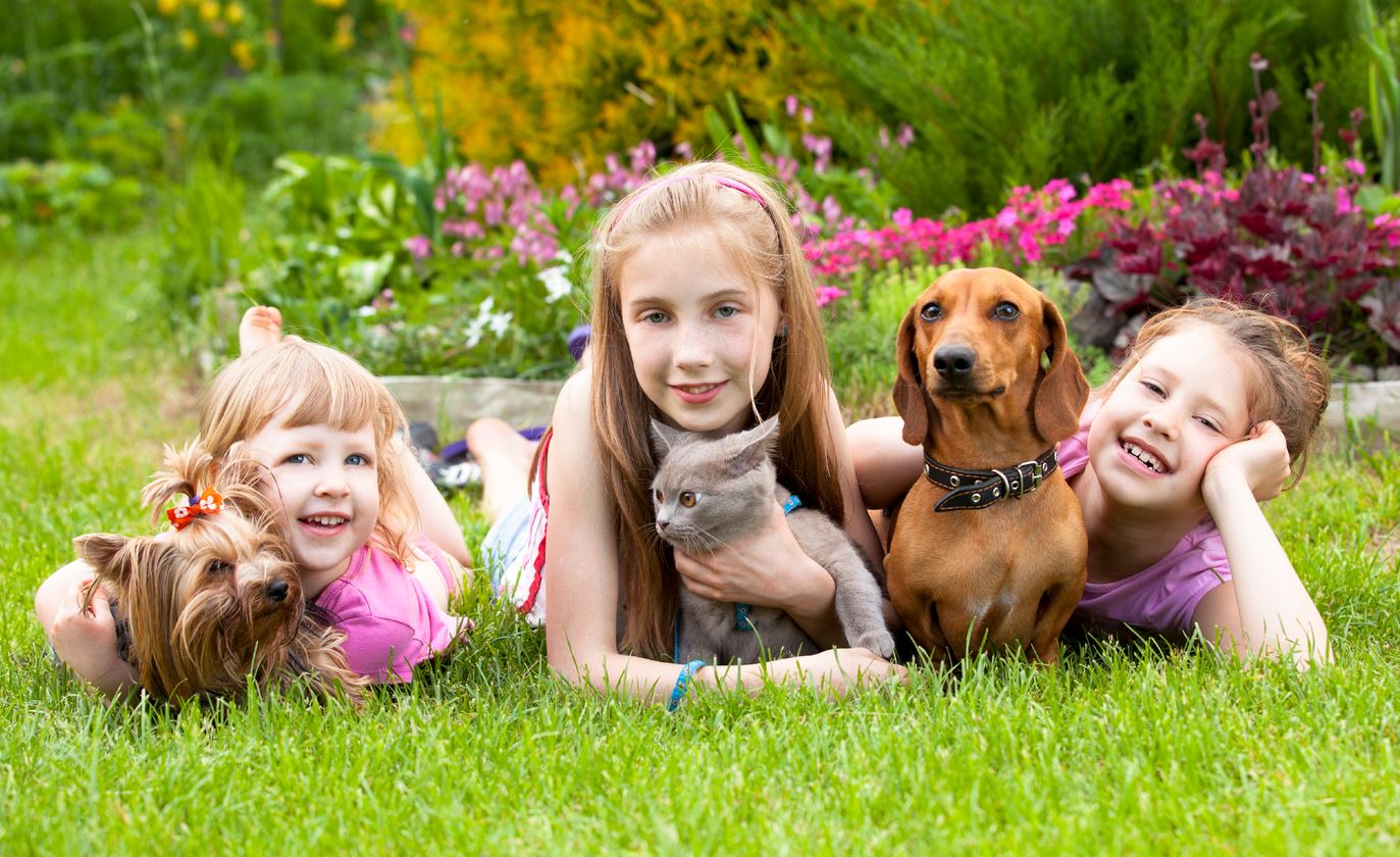 Children and the pets lying on the grass