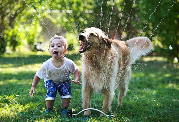 kid and dog playing with water