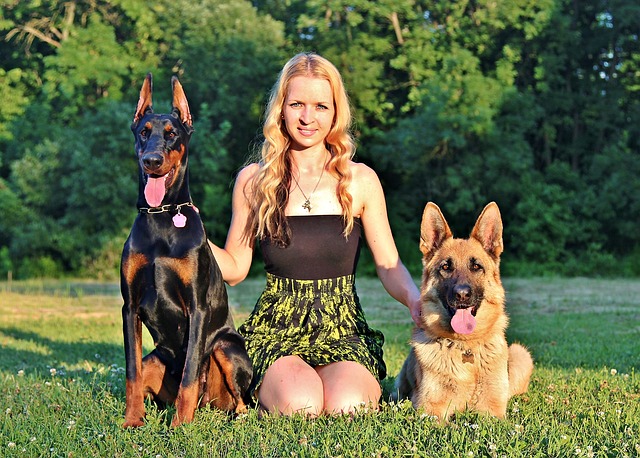 A lady kneeling down between two different German shepherd mix breed