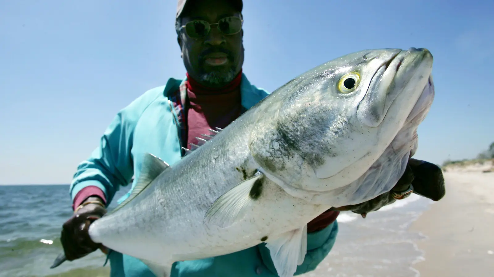 A man carrying a bluefish with its hand