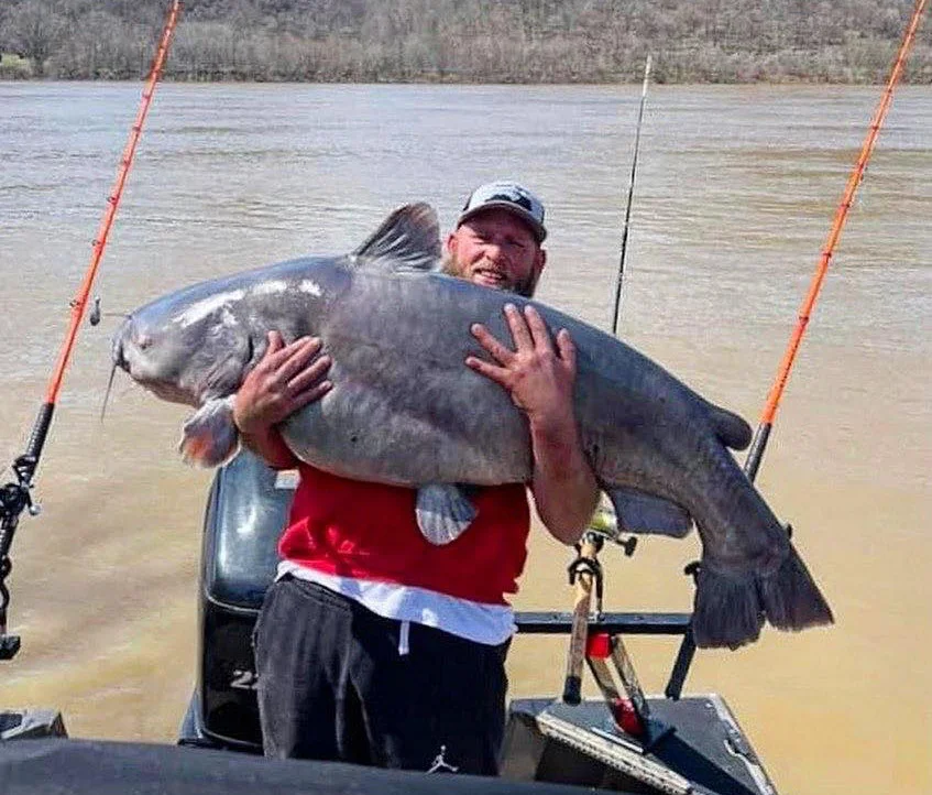 A man carrying a large Blue catfish on a boat