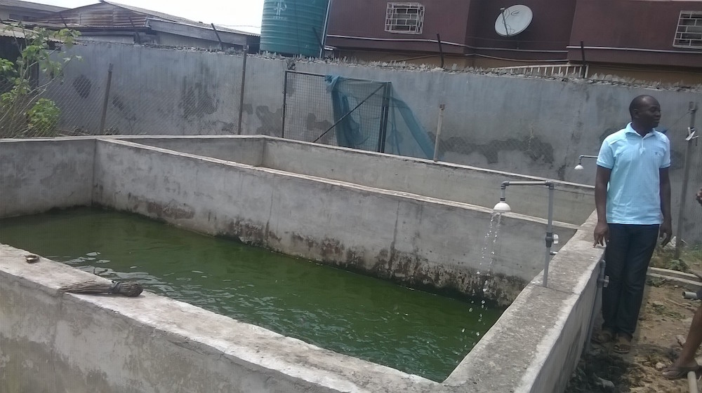 Fish Farming In Nigeria- with a farmer standing by the pond