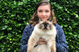 Ragdoll cat breed being carried by a lady