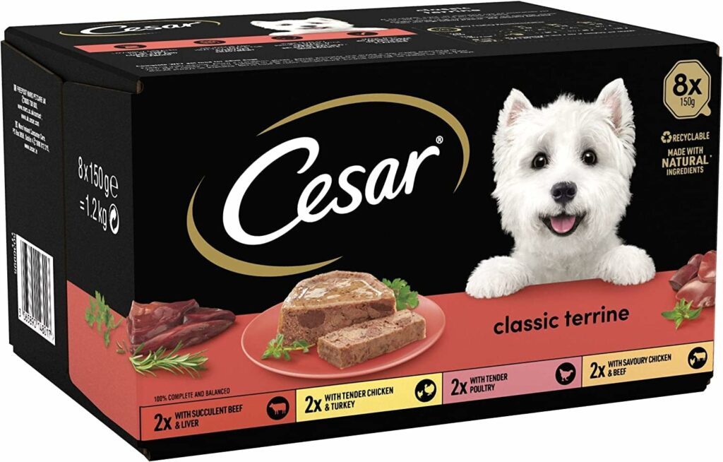 Cesar Classic Terrine in Jelly 24 Trays, Adult Premium Wet Dog Food-Petswealth