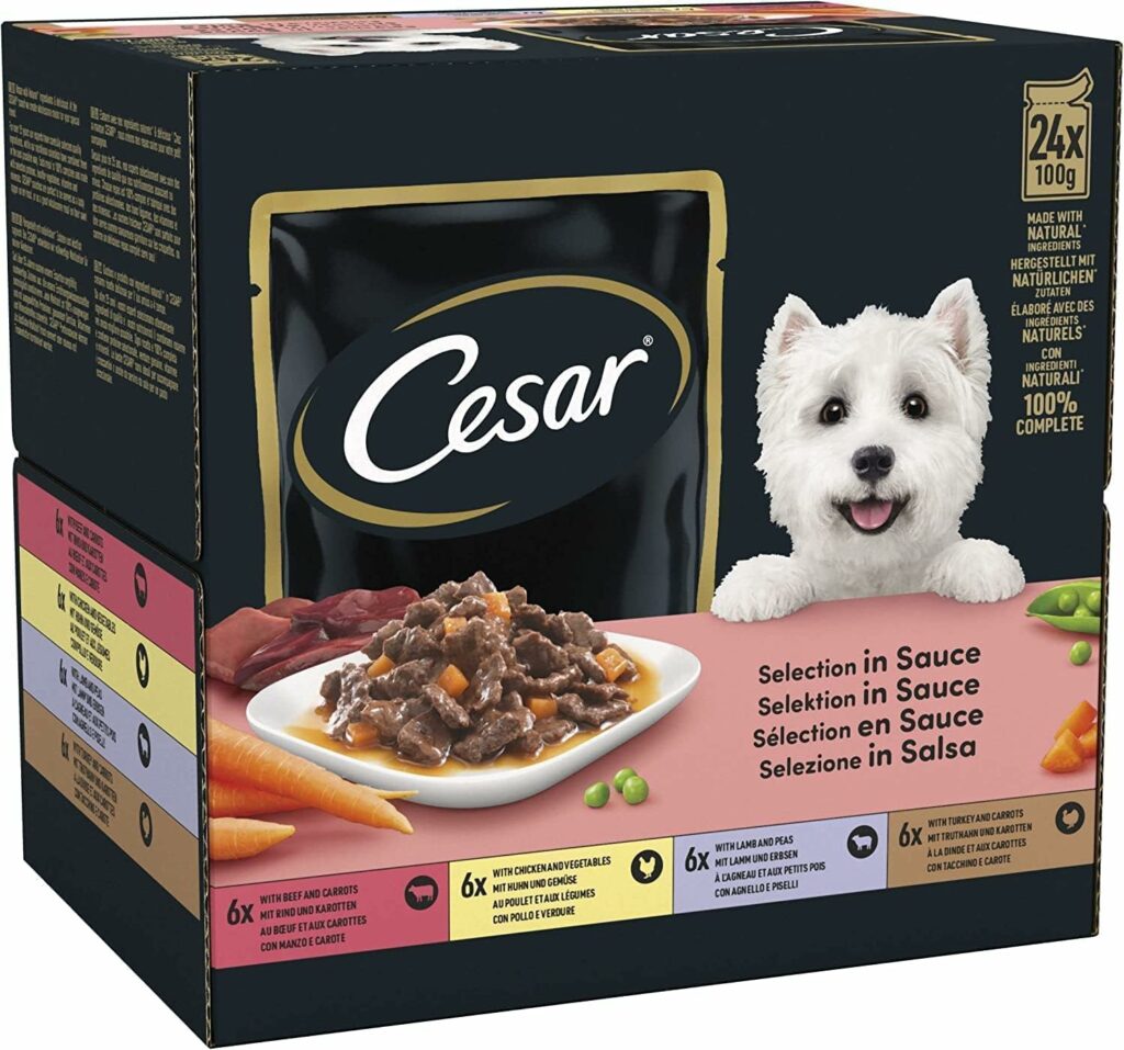 Cesar Selection in Sauce 48 Pouches, Adult Premium Wet Dog Food-Petswealth